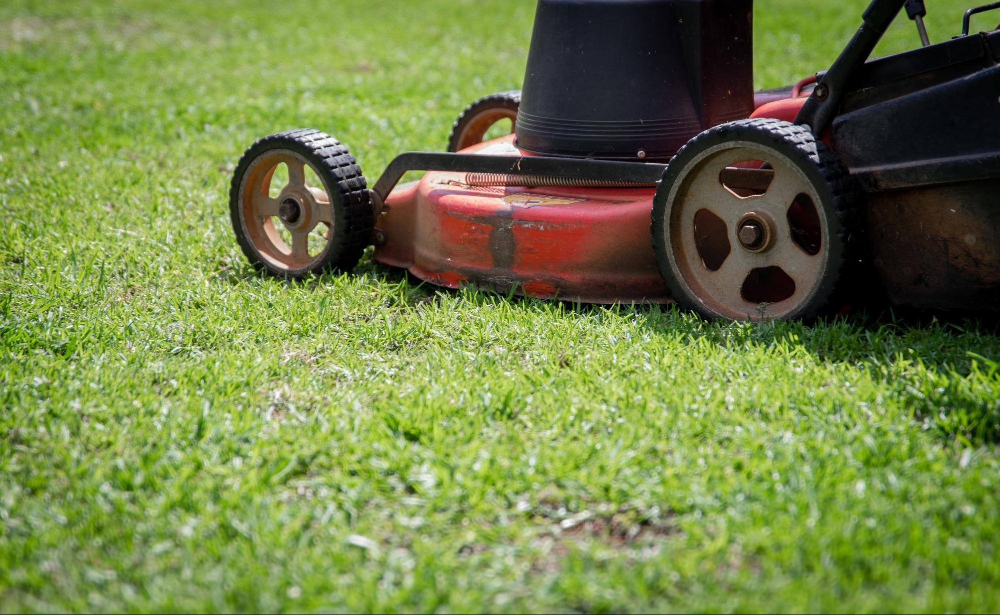 Lawn Mower model